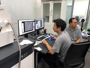 公共技術服務中心開展蔡司掃描電鏡培訓，提升技術服務水平